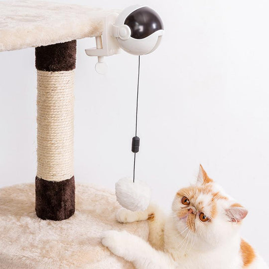 Elektrisches Katzenspielzeug
