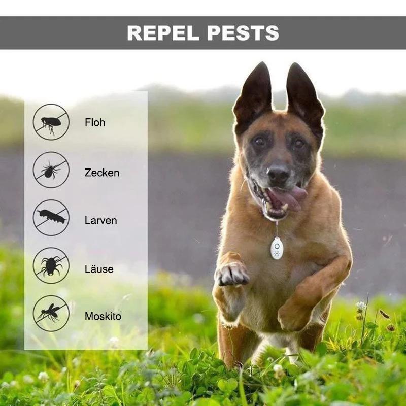 Ultraschall Floh- und Zecken Repellent