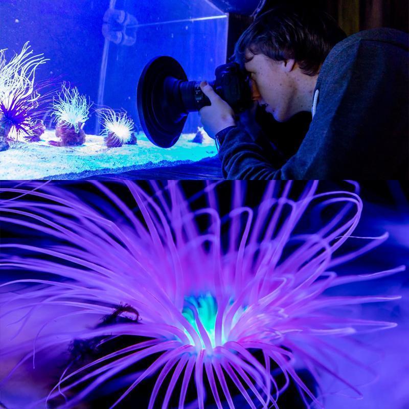 Flexible teleskopische Gegenlichtblende für Telefon oder Kamera